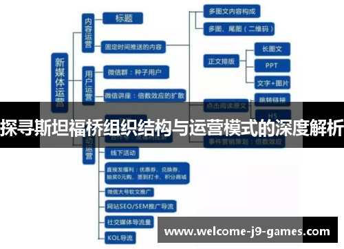 探寻斯坦福桥组织结构与运营模式的深度解析 探寻斯坦福桥组织结构与运营模式的深度解析